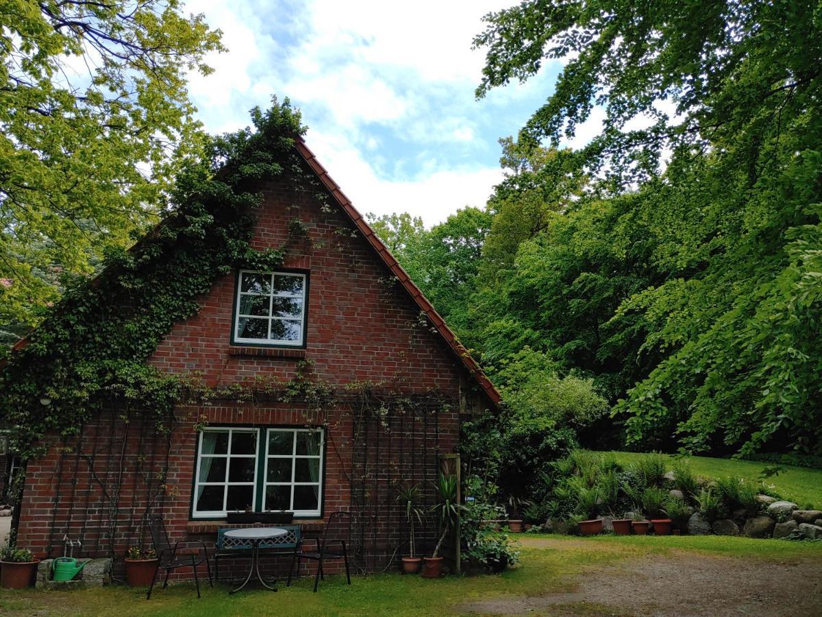 4 Sterne-Haus Am See Waren  Eksteriør billede