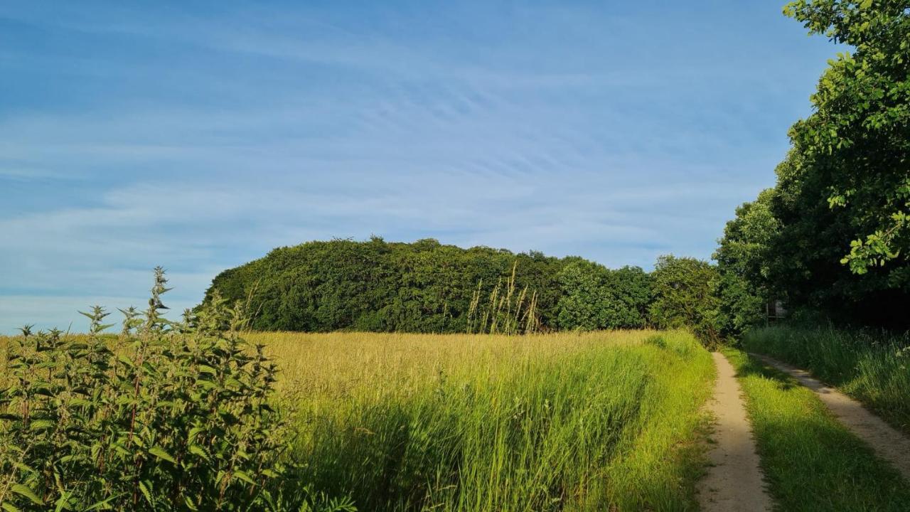 4 Sterne-Haus Am See Waren  Eksteriør billede