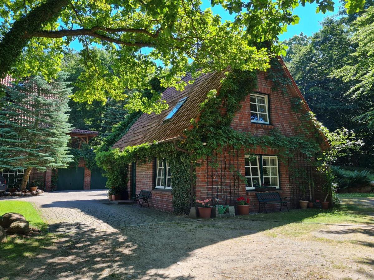 4 Sterne-Haus Am See Waren  Eksteriør billede