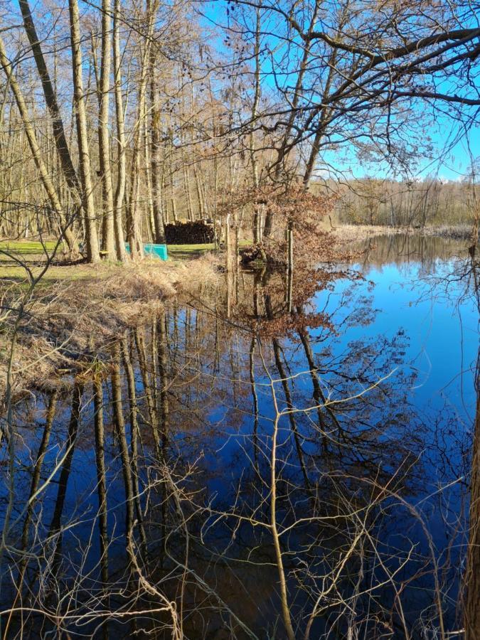 4 Sterne-Haus Am See Waren  Eksteriør billede